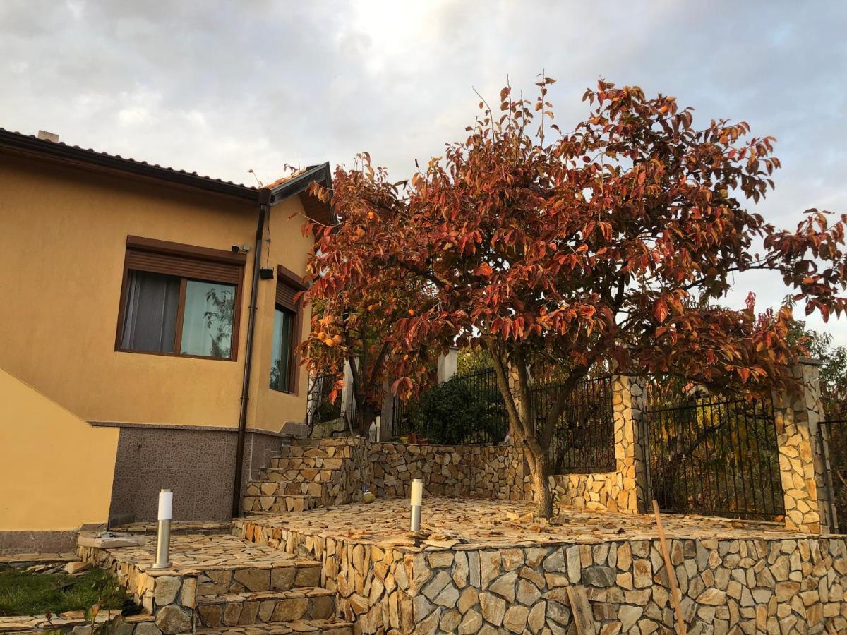Sunshine Villa Dzhigurovo Sandanski Dış mekan fotoğraf