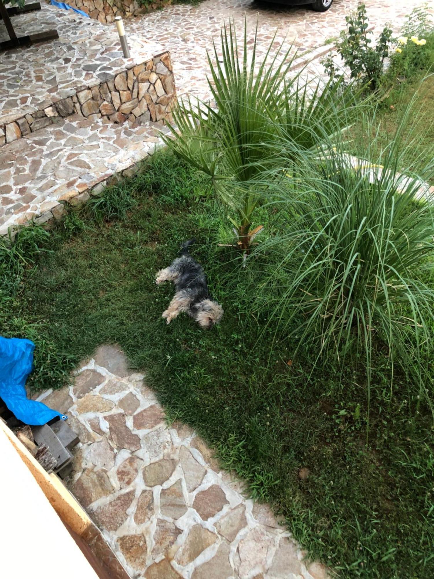 Sunshine Villa Dzhigurovo Sandanski Dış mekan fotoğraf