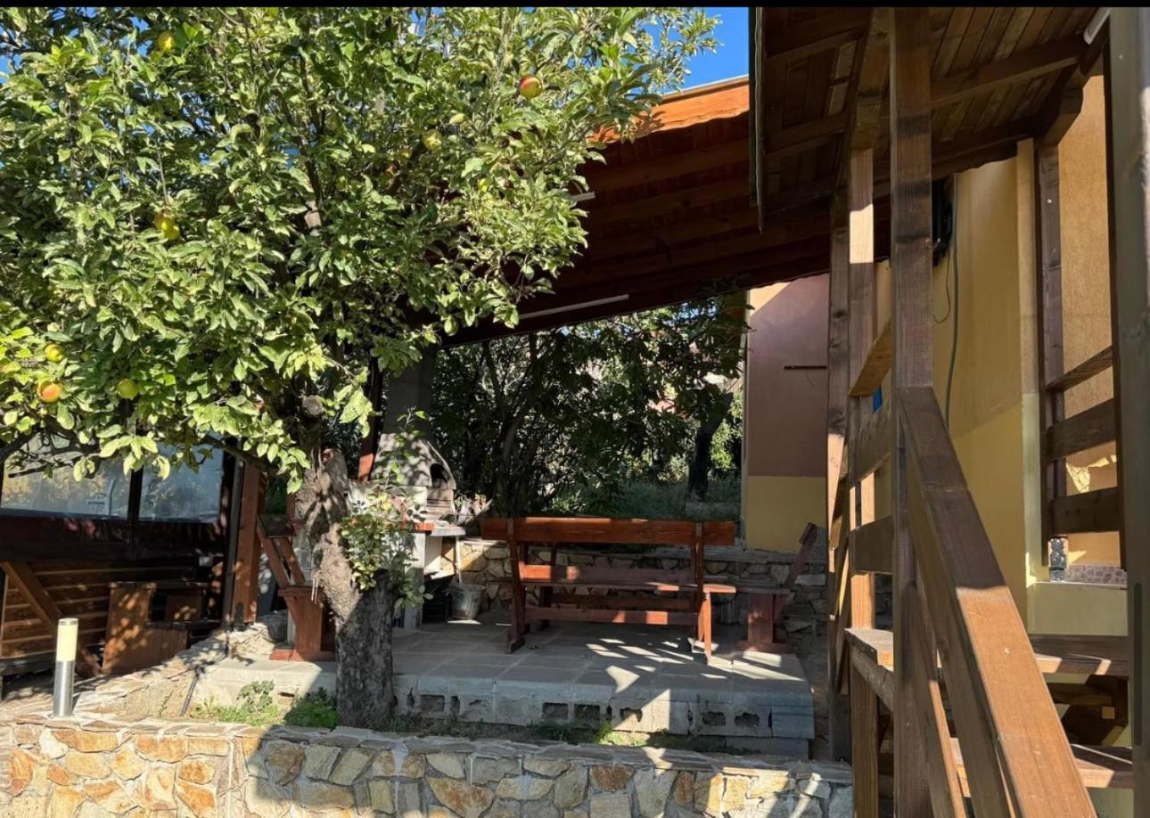 Sunshine Villa Dzhigurovo Sandanski Dış mekan fotoğraf